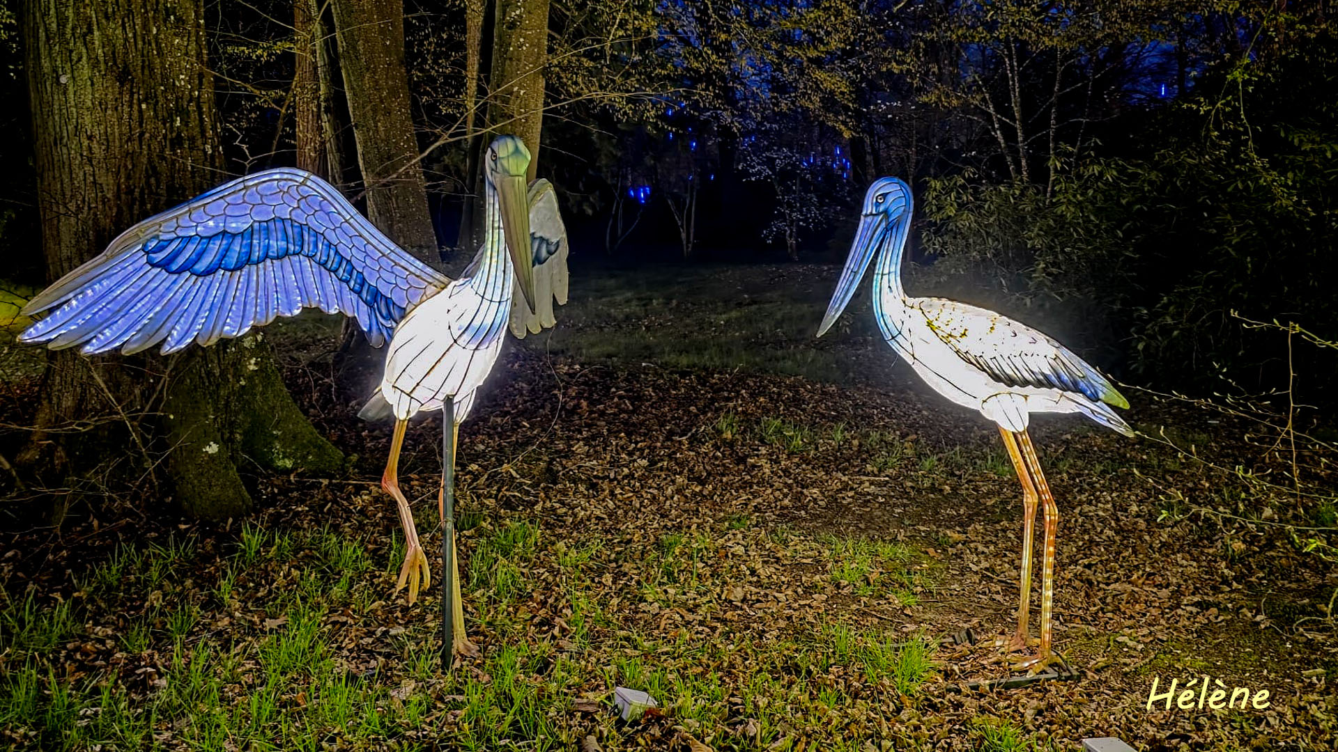 THOIRY -Illumination ,  Lumières sauvages 2025-2026